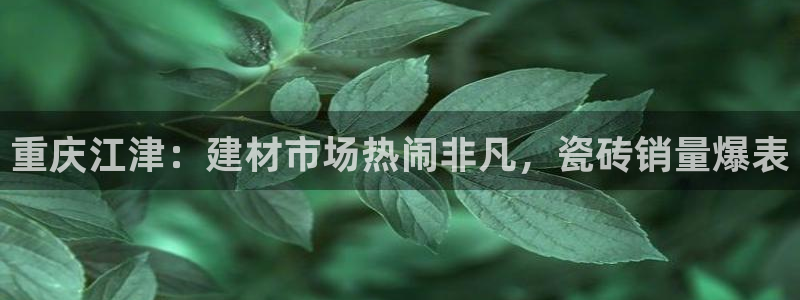 杏鑫平台测速怎么样