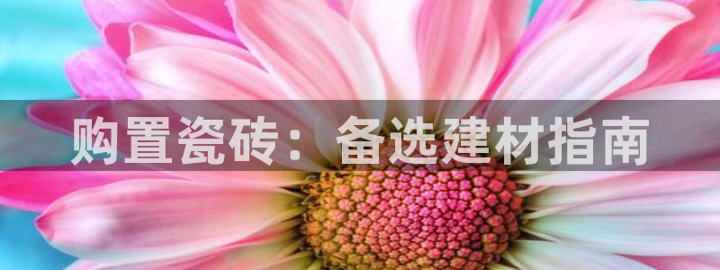 杏鑫平台代理注册流程视频