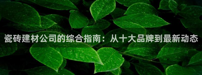 杏鑫平台念7O777