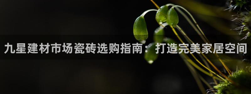 杏鑫官网注册账号密码