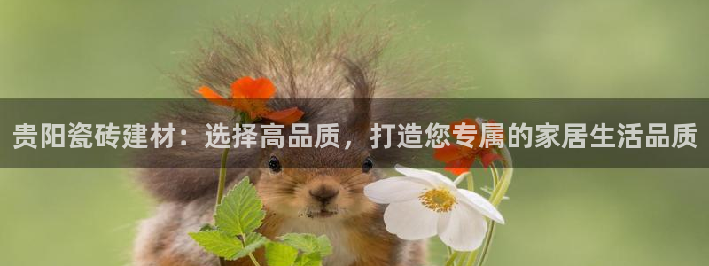 杏鑫平台怎么样黑钱吗